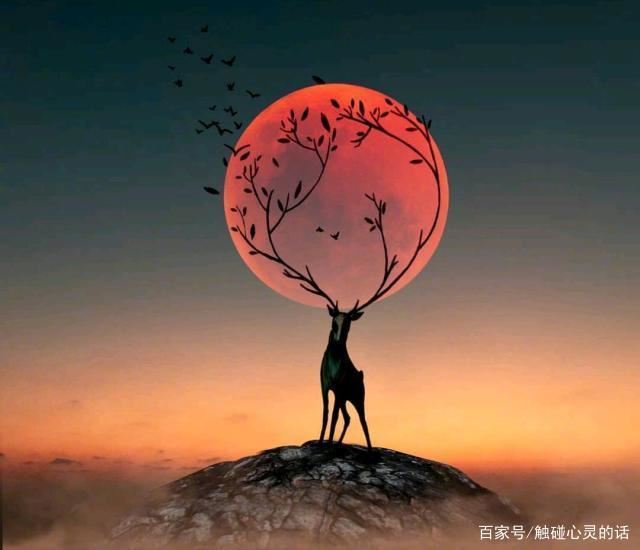 成熟稳重的人生格言，句句箴言，值得收藏一生！