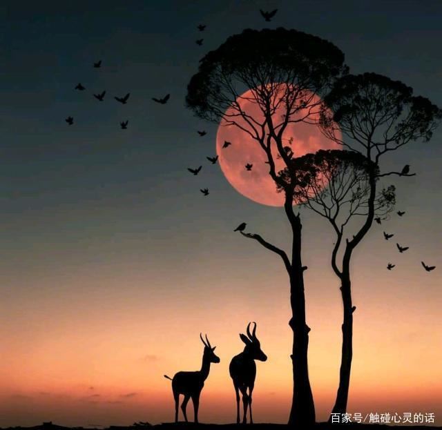 成熟稳重的人生格言,句句箴言,值得收藏一生!