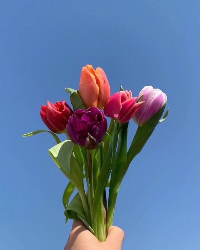 适合星期三的早安心语，简短文艺，沁人心脾！