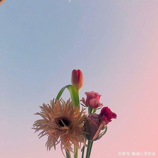 适合星期二的早安心语，发朋友圈人气超高！