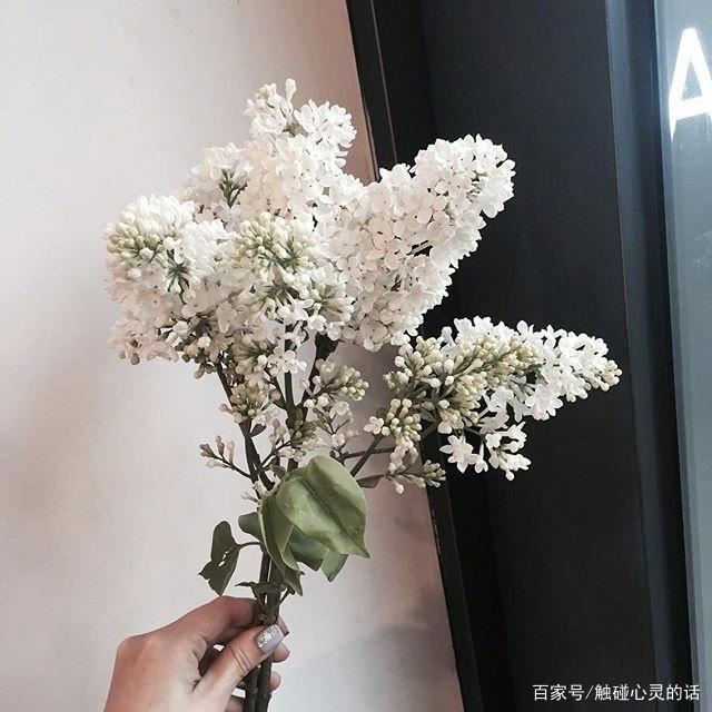 最近比较火的朋友圈文案，值得收藏！