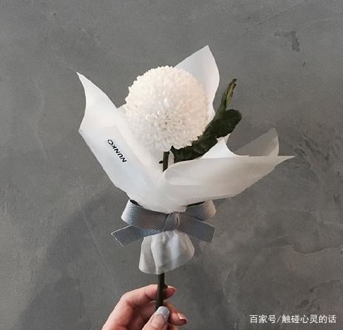 抖音配文必火文案，赶快收藏吧！