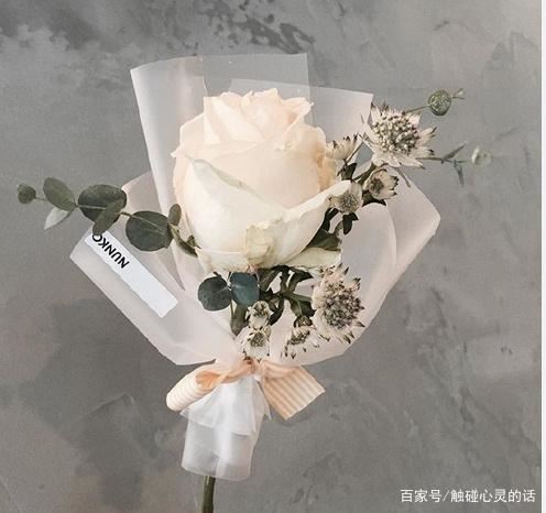 抖音配文必火文案，赶快收藏吧！