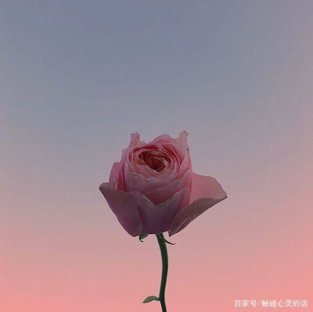 很成熟很现实的人生格言，一般人读不懂！