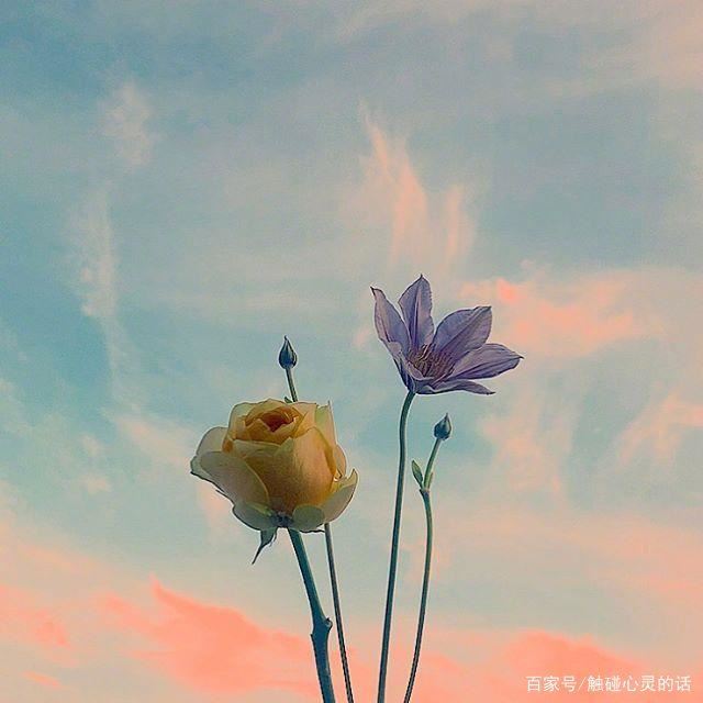 很成熟很现实的人生格言，一般人读不懂！