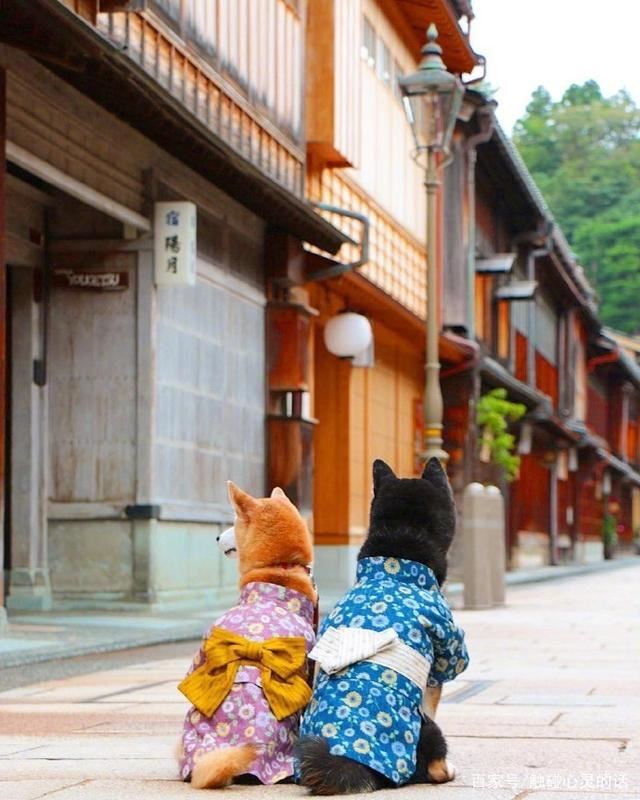 适合发朋友圈的爱情格言，总有一句触动你的心！