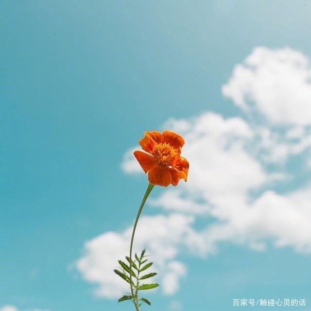 六月最精美的哲理说说，经典有深度，值得收藏！