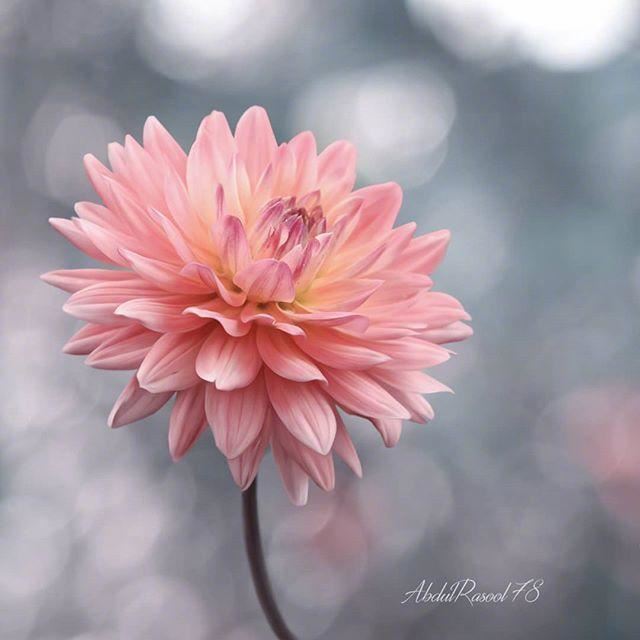 睿智通透的人生感悟，充满哲理，引人深思！