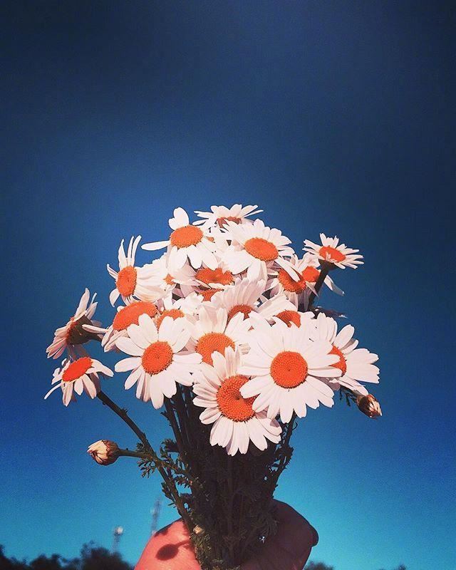 朋友圈秒赞的早安语录，有感而发，说到心坎！