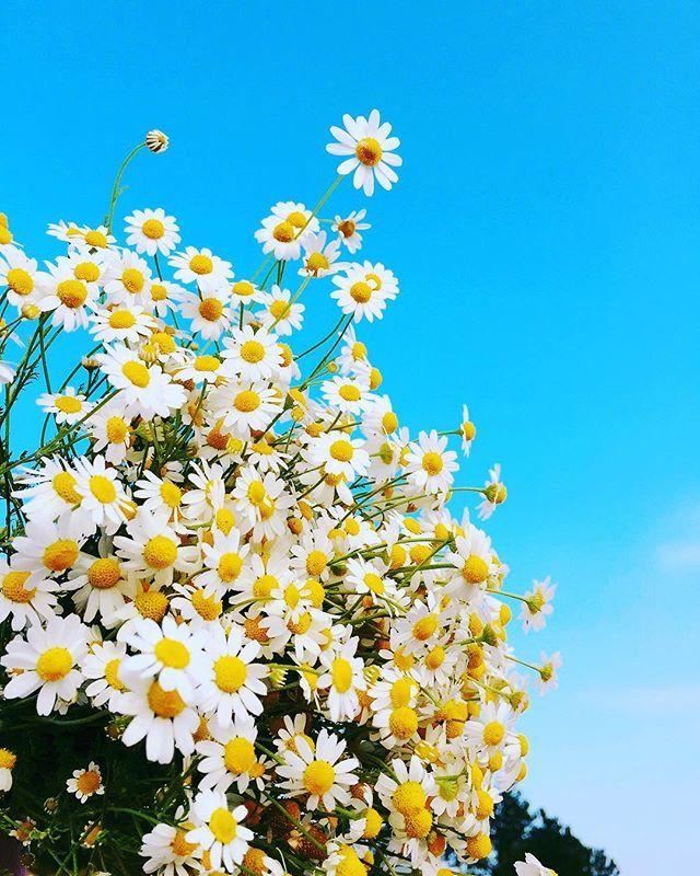 朋友圈秒赞的早安语录，有感而发，说到心坎！