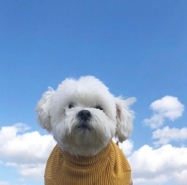 放宽心态的一句话，充满哲理，引人深思！