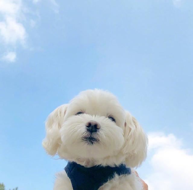 放宽心态的一句话，充满哲理，引人深思！