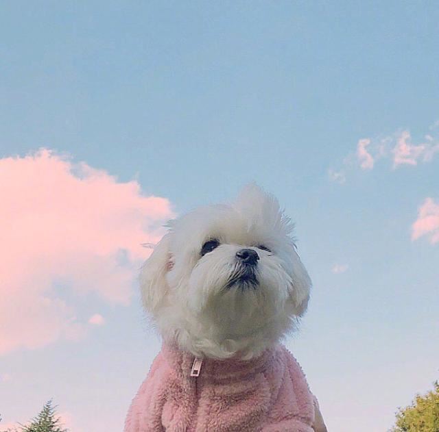 放宽心态的一句话，充满哲理，引人深思！