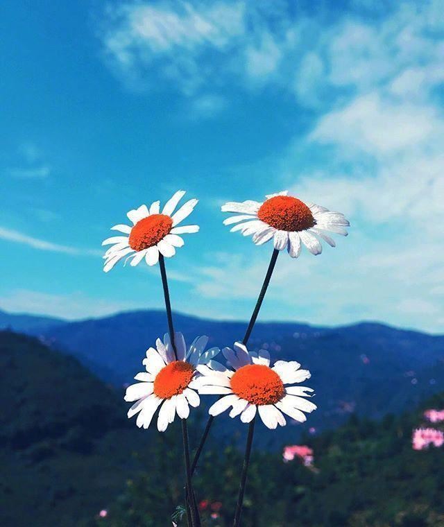 早安最美一句话，发朋友圈人气超高！