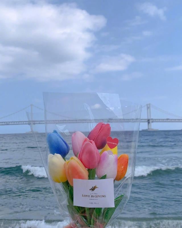 2023每日晨语，温暖治愈，你最喜欢哪句？