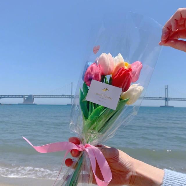 2023每日晨语，温暖治愈，你最喜欢哪句？