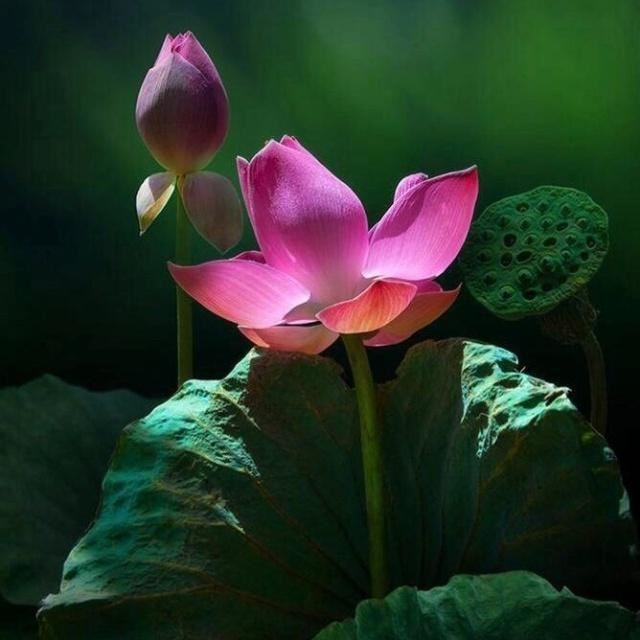 自我醒悟的经典语录，精辟透彻，直击内心！