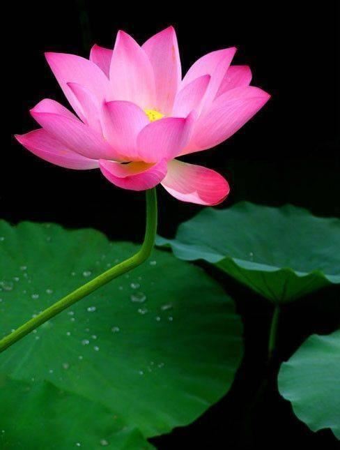 自我醒悟的经典语录，精辟透彻，直击内心！