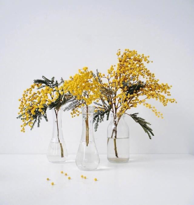 深夜睡前经典一句话，发朋友圈太合适了！