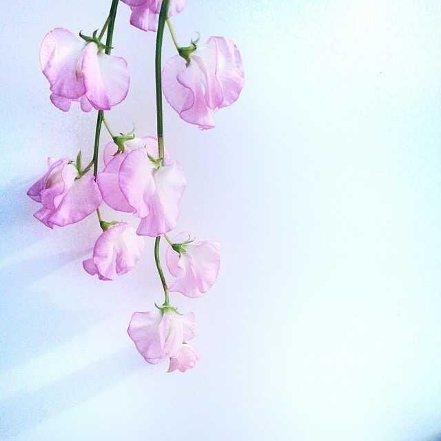 有深意的晚安文案，句句经典，百读不厌！