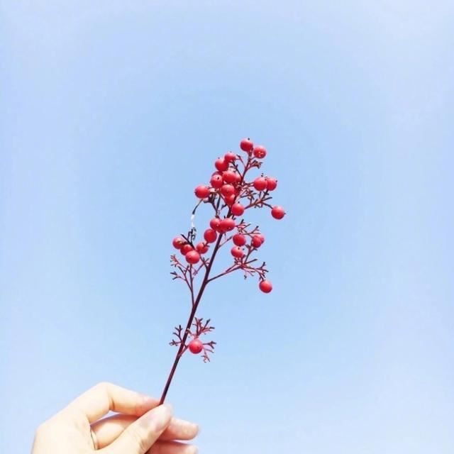 2023年最火的早安语录，温暖美好，沁人心脾！