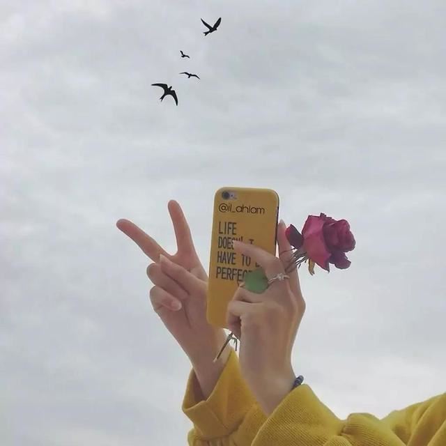 2023有文采的早安语，经典入心，忍不住收藏！