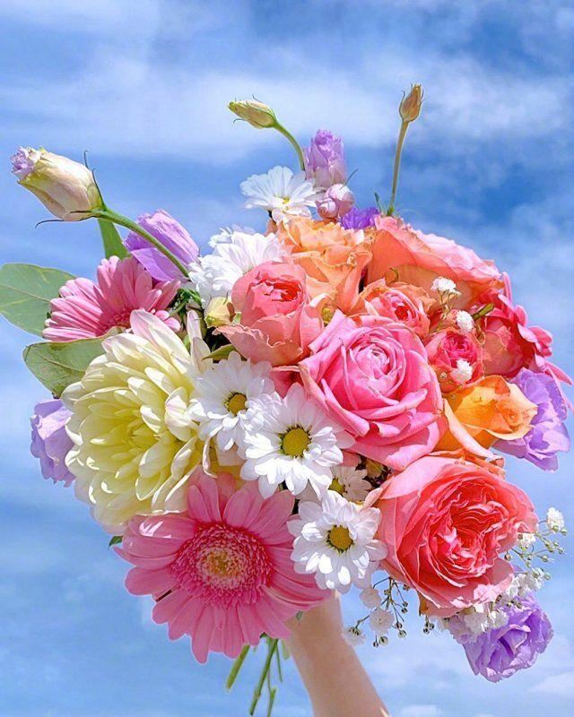 看开，看淡，舍得，放下的语录，很经典很现实！