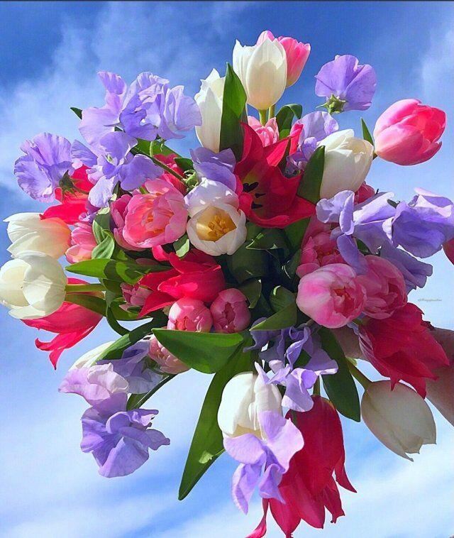 看开，看淡，舍得，放下的语录，很经典很现实！