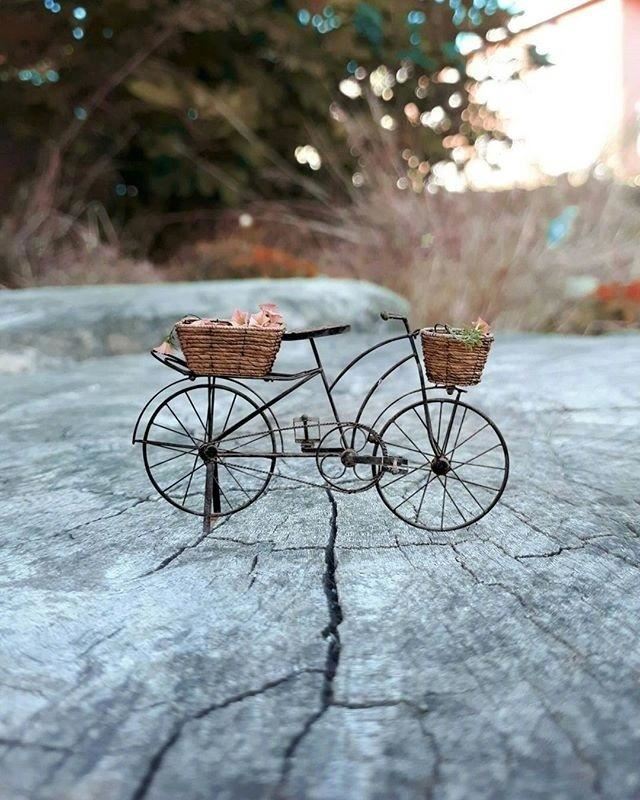 早安经典内涵说说，干净走心，越看越喜欢！