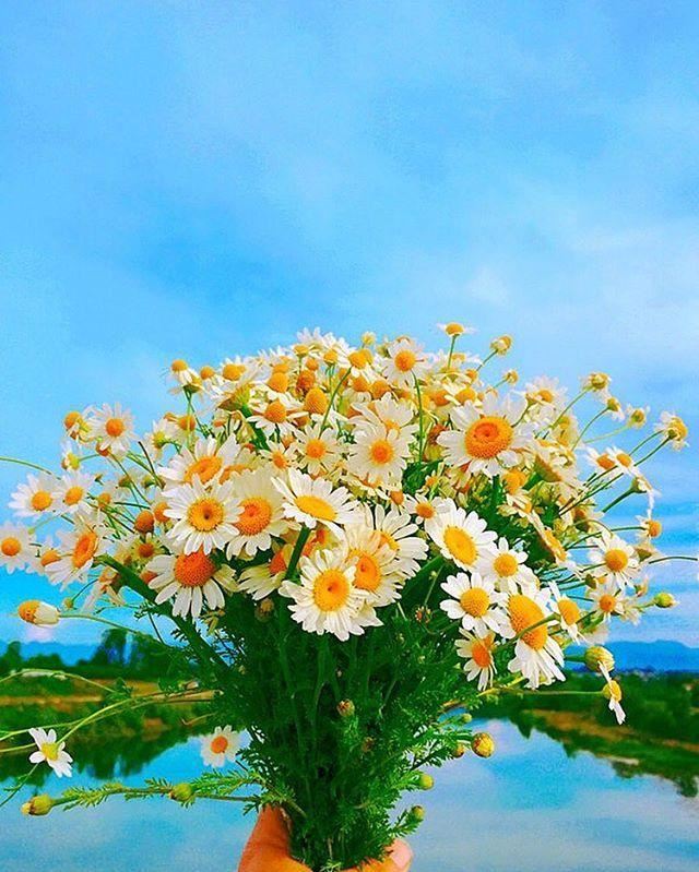 2023正能量的早安句子，精辟走心，百看不厌！