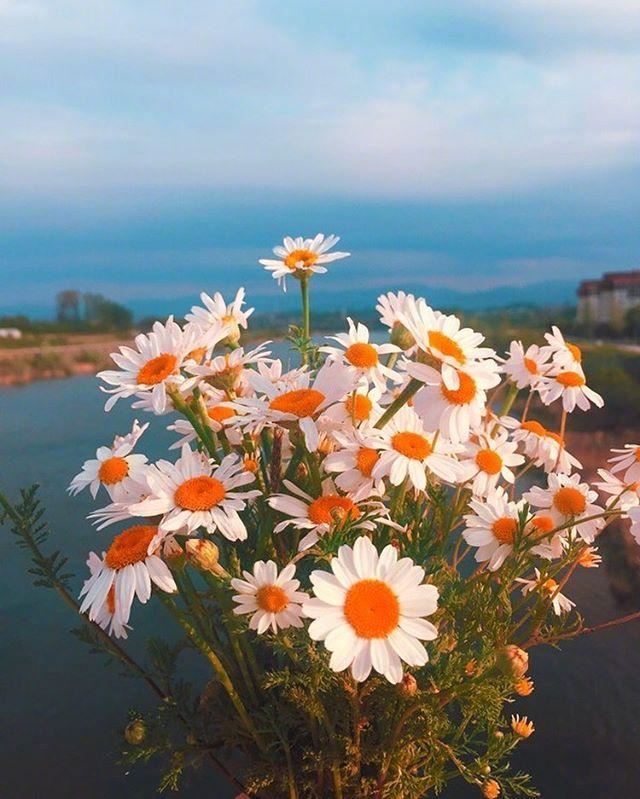 2023正能量的早安句子，精辟走心，百看不厌！