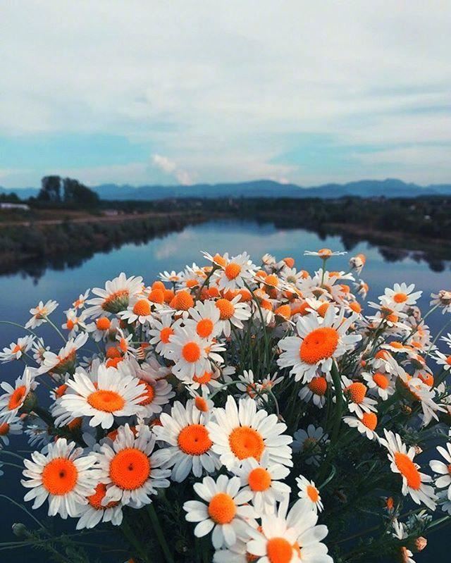 2023正能量的早安句子，精辟走心，百看不厌！