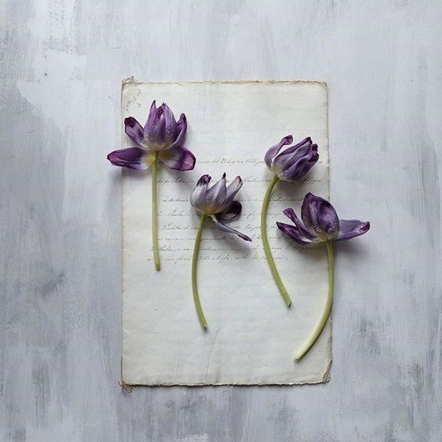 超级经典的人生感悟句子，发朋友圈引人深思！