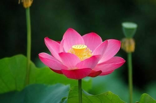 5月最精辟的心灵鸡汤，经典至极，大彻大悟！