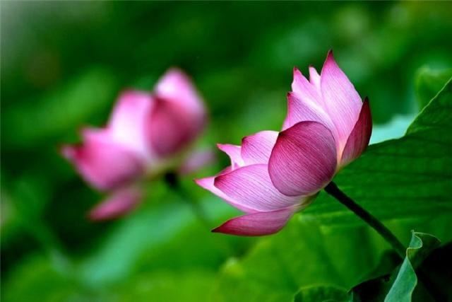 5月最精辟的心灵鸡汤，经典至极，大彻大悟！