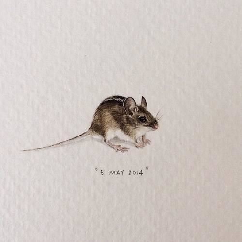 深刻有哲理的短句，看完让人醍醐灌顶！