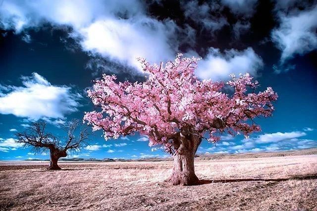 2023很现实的人生语录，句句经典，深度好文！