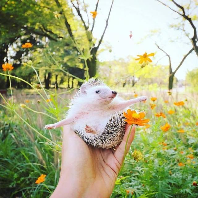 每日精辟金句，让你悟透人生，看懂世事！