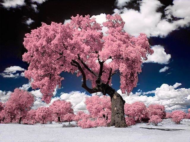 2023早安暖心话，干净有气质，值得分享！