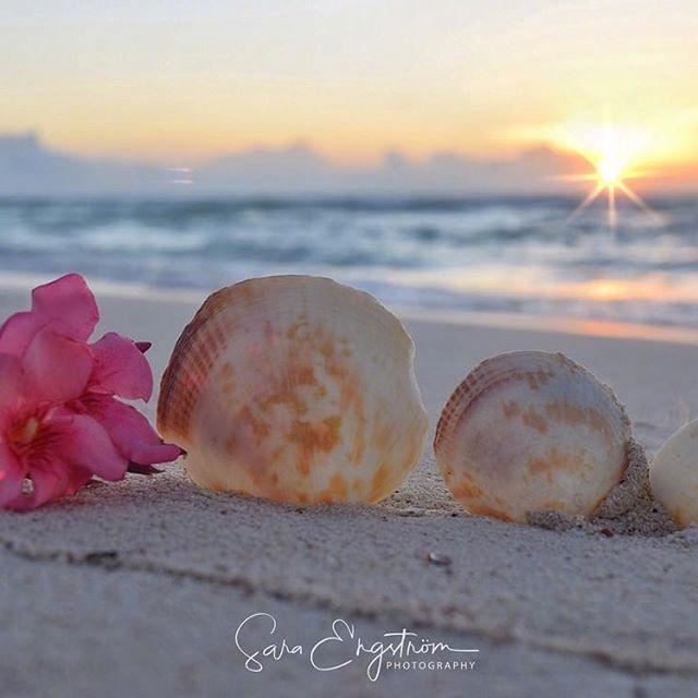 吸引人的朋友圈晚安说说，值得收藏一生！