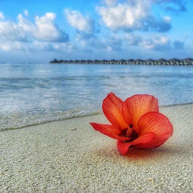 吸引人的朋友圈晚安说说，值得收藏一生！