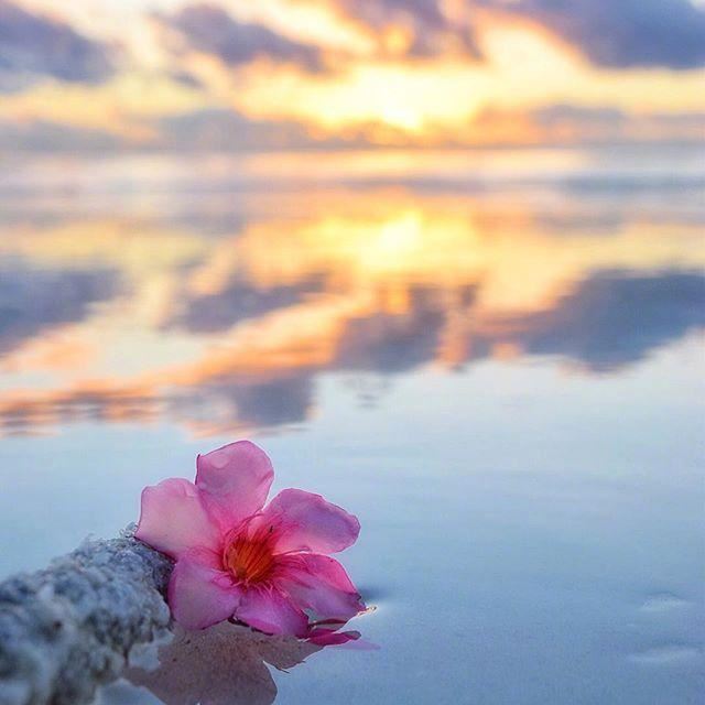 吸引人的朋友圈晚安说说，值得收藏一生！