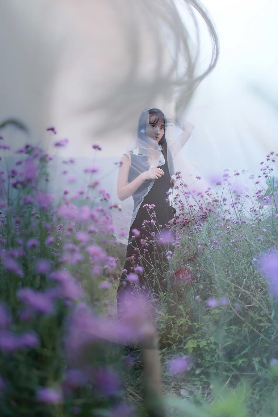 清纯美女薰衣草花田高清写真