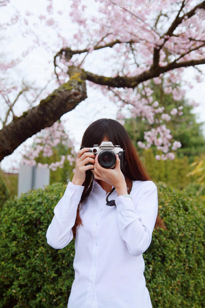 樱花树下的小美女唯美意境写真